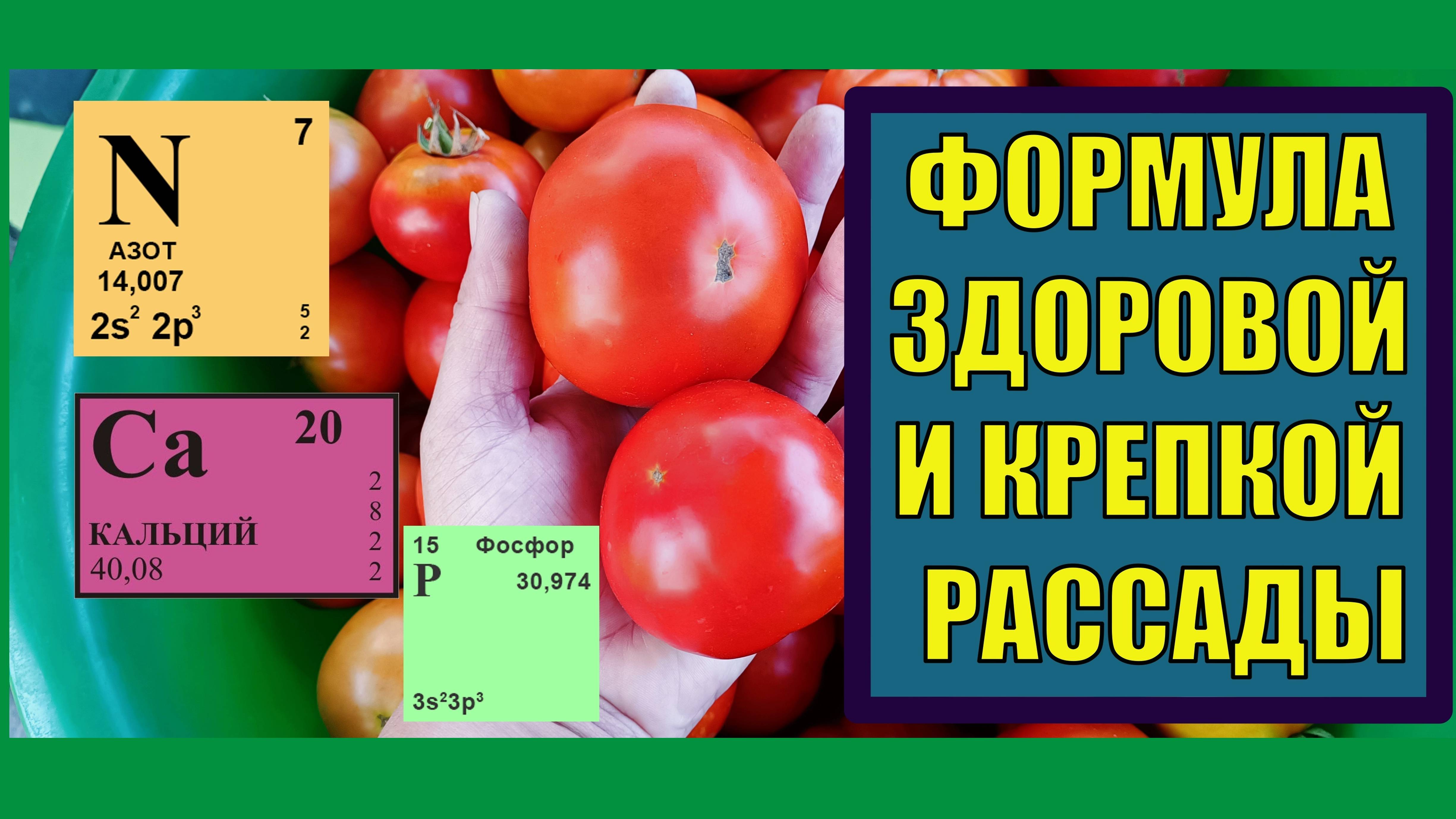 АНОНС ДЛЯ ПРЕМИУМ ПОДПИСЧИКОВ ⇔ ФОРМУЛА ЗДОРОВОЙ РАССАДЫ 📌 (N+Ca+P)