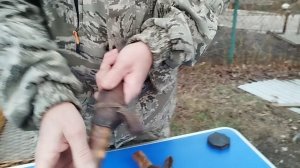 два маленьких но прочных ножа