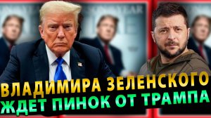 Трамп решил взяться за Зеленского всерьез