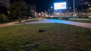 Arrma Notorious backflip on pump track