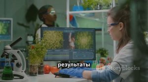 Сушеница топяная. Целебный отвар и настой из сушеницы топяной. Полезные и целебные свойства.