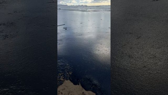 🛢"Мазутный апокалипсис. на черноморском побережье"