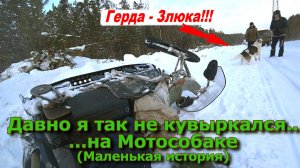 Давно я так не кувыркался... На мотособаке...  И Герда-Злюка!!!