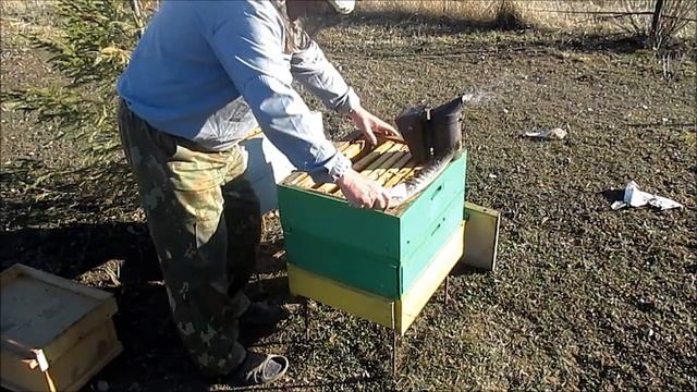 Присоединение безматочной семьи