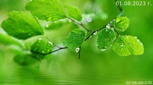 753 Игра Маббу. Река времени 01.08.2023 г