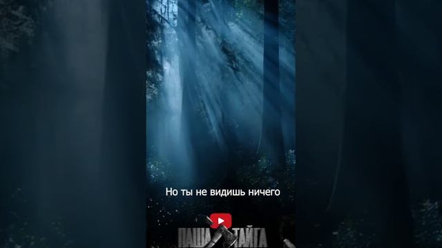 Загадка леса Кто наблюдает за тобой в ночи