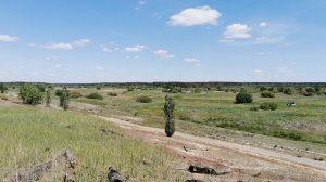 Продается участок 23.7 Га возле реки Усманки в Воронеже.