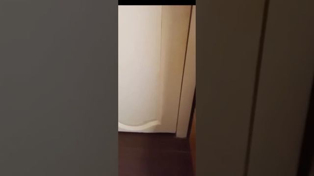 АНЯ#катясочи ПЬЯНАЯ ИСПОВЕДЬ БОМЖА#треш#бомжи#юмор#прикол