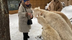 Пушкинские пенсионеры открыли для себя новое пространство