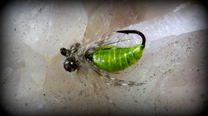 Dragonfly Nymph