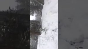 Прадо 120 на бездорожье зимой 2