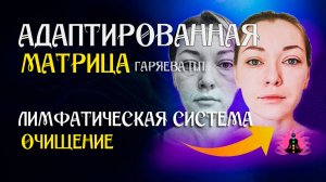 Очищение лимфы  🌀 Адаптированная программа матрица по технологии Гаряева ☀️ SoftRadio.ru