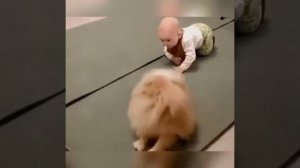 Собака учит малыша ползать | Лучший учитель