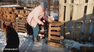 # 39 МНОГО РАБОТЫ/ РАЗБИВАЮ ПОДДОНЫ/ ДЛЯ ТЕХ, КТО ЛЮБИТ СМОТРЕТЬ, КАК ДРУГИЕ РАБОТАЮТ