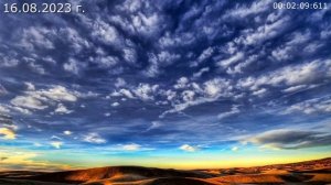 760 Честь и Совесть 16.08.2023 г