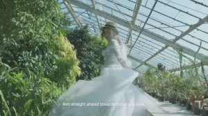 В стране чудес... | SIGMA INC