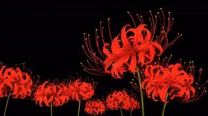 Pantera - This Love ( Deep & Slowed )