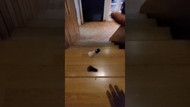 Déstruction de la lampe OSRAM Krypton 60W B22 au ralenti смотреть онлайн