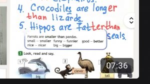 spotlight 4 module 4 стр 62  спотлайт 4 класс , гдз понятный разбор. английский 4 класс. английский