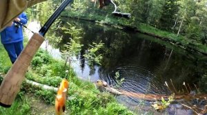 Белое море, кандалакшский залив. День 5. Горная река. Заключительный.