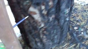 Стрельба из арбалета 2