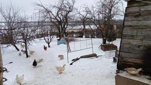 Временная баня из подручных средств