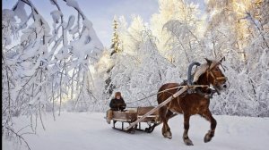 ЖИЗНЬ ЗИМОЙ В РОССИИ