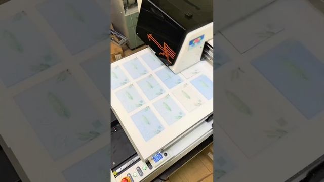 Печать на всем. Пример UV прямой печати и UV-DTF стикеров ☝