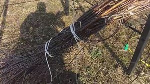Делаем метлу для двора