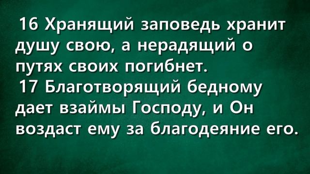 СЛОВО БОЖИЕ. Тихое время с ЖЖ. [У мудрости другие приоритеты] (18.11.2023)