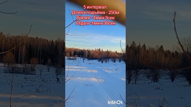 Интервальная работа в лыжных гонках.