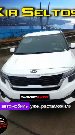 Обзор Kia Seltos Turbo 1.6 177лс. I Забираем машину из порта СВХ Лаба СБКТС ЭПТС  #automobile  #auto