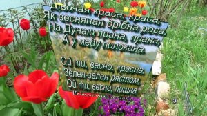 ВИЙДИ, ВИЙДИ ІВАНКУ   Веснянка