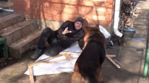 Играю с собакой