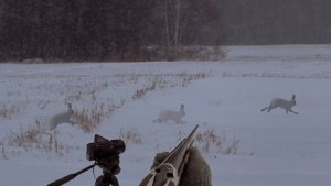 Настреляли Зайцев. Наш День. Охота по Снегу.