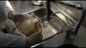 Икра улитки - редкий и дорогой деликатес