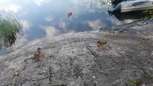 Ладога 2024  -  закрытие летнего сезона.