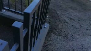 Мини газон в Ожогино (Тюмень)