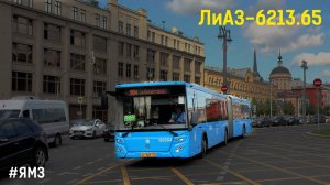 ЛиАЗ-6213.65-79 (ЯМЗ-53613 & ZF EcoLife 6AP 1400B)