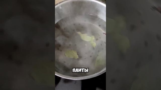 СЛАБОСОЛЁНАЯ СКУМБРИЯ