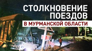 Пассажирский поезд столкнулся с грузовым составом в Мурманской области — видео