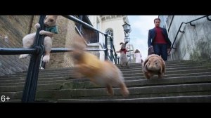 Кролик Питер 2 / Peter Rabbit 2: The Runaway. 2021. мультфильм, фэнтези, комедия / 6+