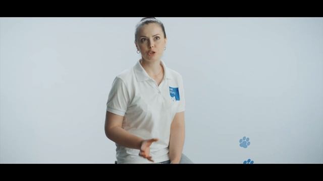 Юлия Чумакова, ветеринарный врач, зоопсихолог Petstory