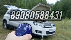 СГУ Барс 200 все звуки 2023 с синим микрофоном МК - 18 Элина