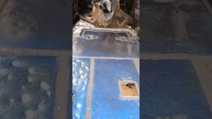 покраска днище, герметик по швам, шумоизоляция сверху  ТЛК Прадо 78