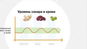 Роль и функции белка в организме человека