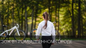 ЗОЖ в промышленном городе | Сюжет