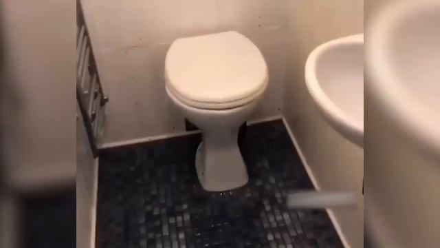 104_696 СЕКУНД СМЕХА - ЛУЧШИЕ ПРИКОЛЫ ОКТЯБРЬ 2018 -100 смотреть онлайн