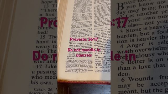 Do not meddle in quarrels #proverbs #god #bible #jesus #wisdom #amen смотреть онлайн