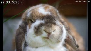 763 Ответ Алексею Зайцеву 22.08.2023 г